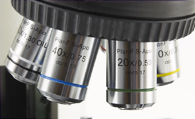 obiettivi microscopia ottica Sintak