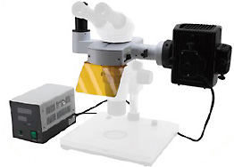 Sintak microscopi stereo illuminazione fluorescenza, Stereomicroscopi