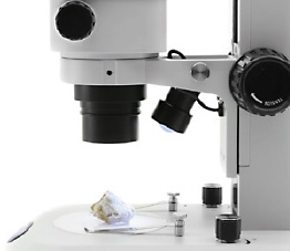 Sintak microscopi stereo illuminazione incidente, Stereomicroscopi