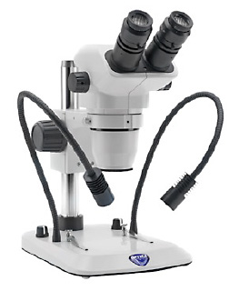 Sintak microscopi stereo illuminazione riflessa, Stereomicroscopi
