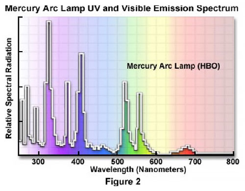 Sintak microscopia a fluorescenza LED o HBO - spettro di emissione