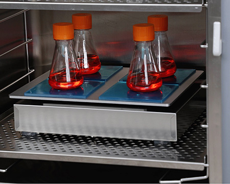 Sintak incubatori CO2 laboratorio analisi shaker UNIS70 Radobio